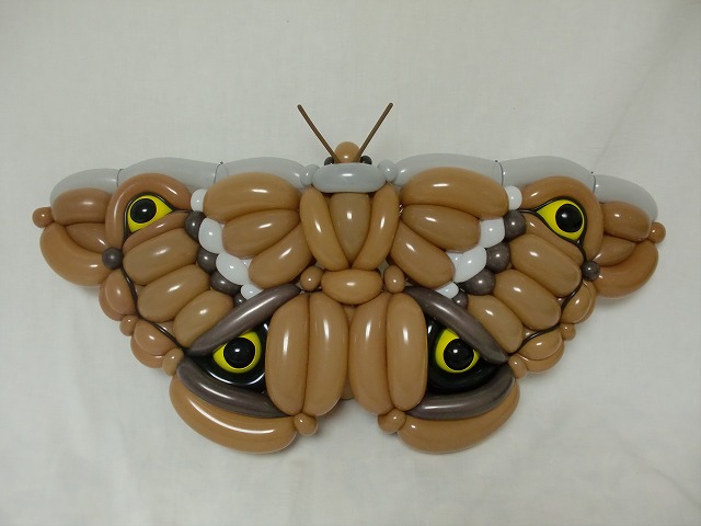Balloon Moth