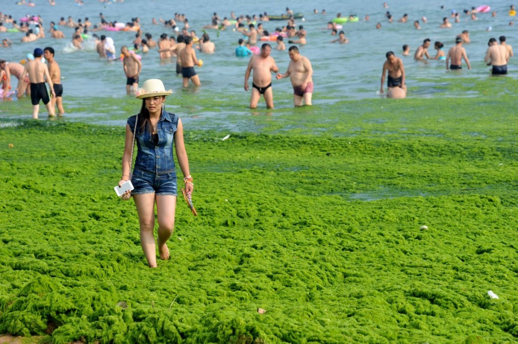 Qingdao Algae beach girl