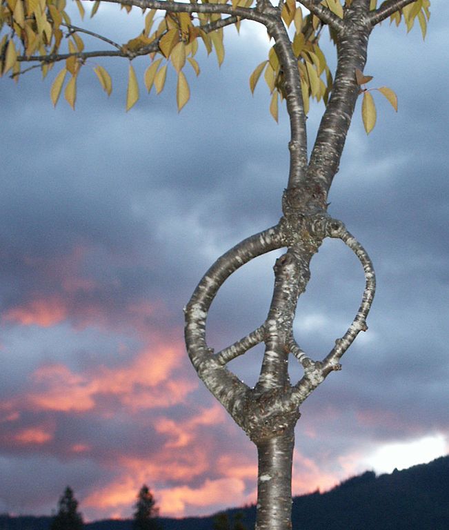 Arborsculpture Peace Sign