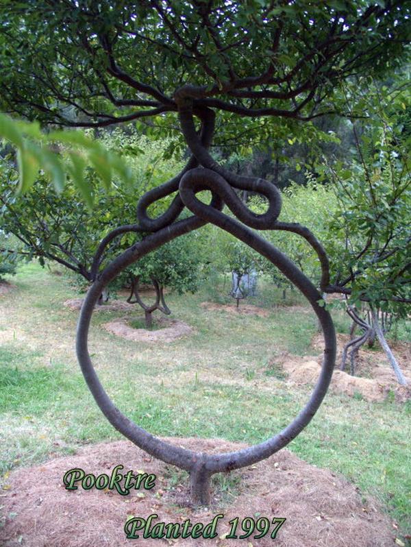 Arborsculpture Sculpture art with plants