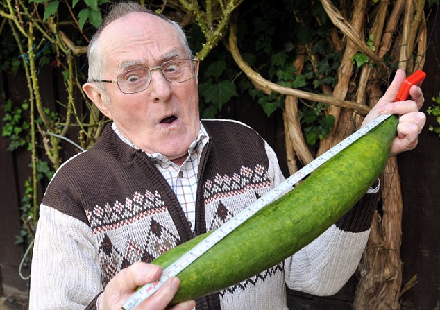 Image result for big cucumber