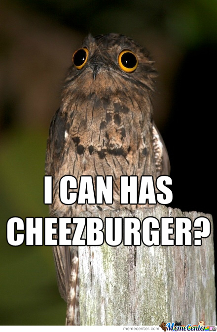 Potoo Meme - Cheeze Burger