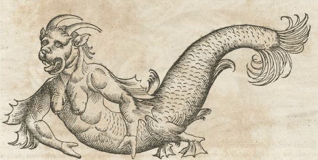Medieval Monsters - Conrad Gesner's Historiae animalium - sea monster 2