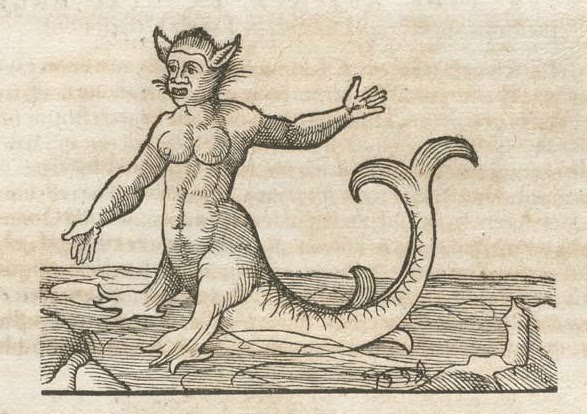 Medieval Monsters - Conrad Gesner's Historiae animalium - sea monster