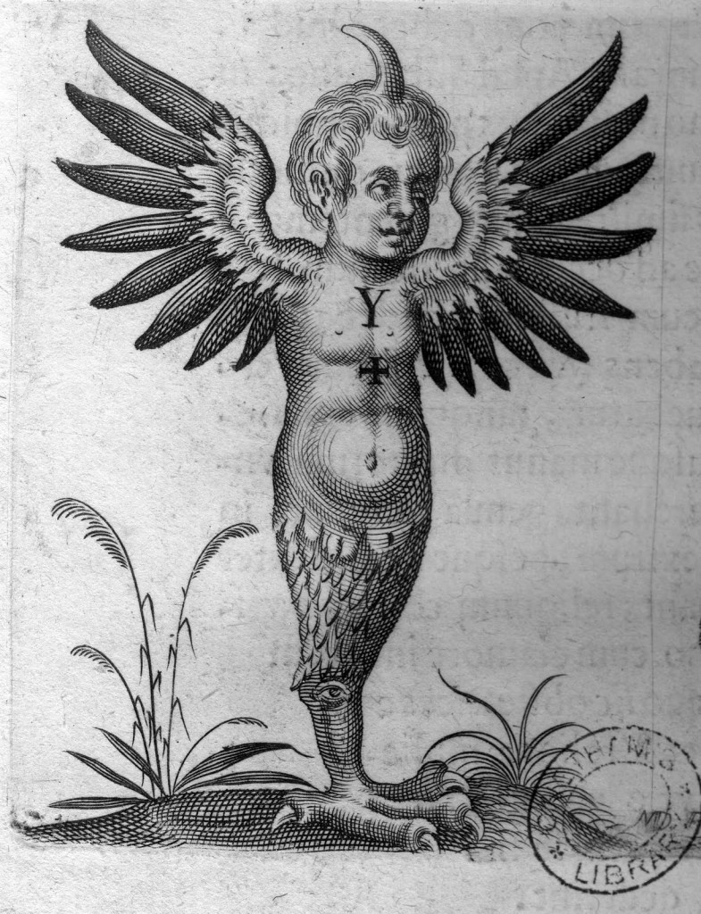 Medieval Monsters - Padua - 1634 - Paulus Frambottus