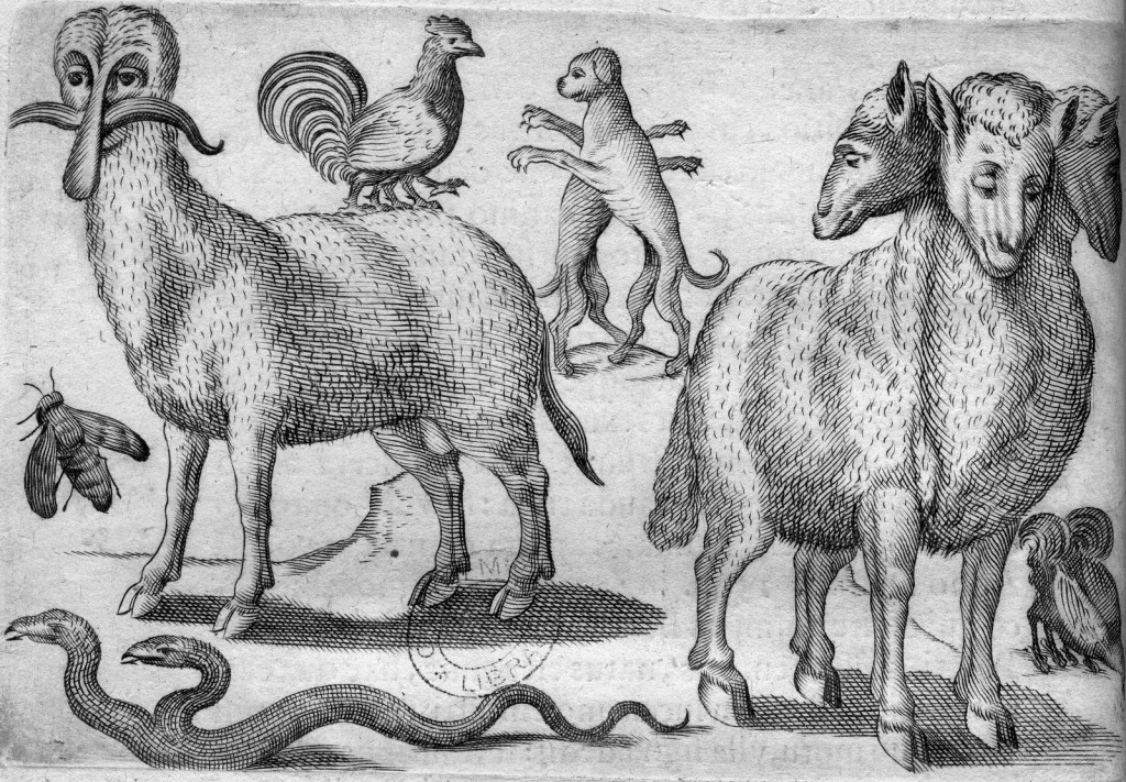 Medieval Monsters - Padua - 1634 - Paulus Frambottus group
