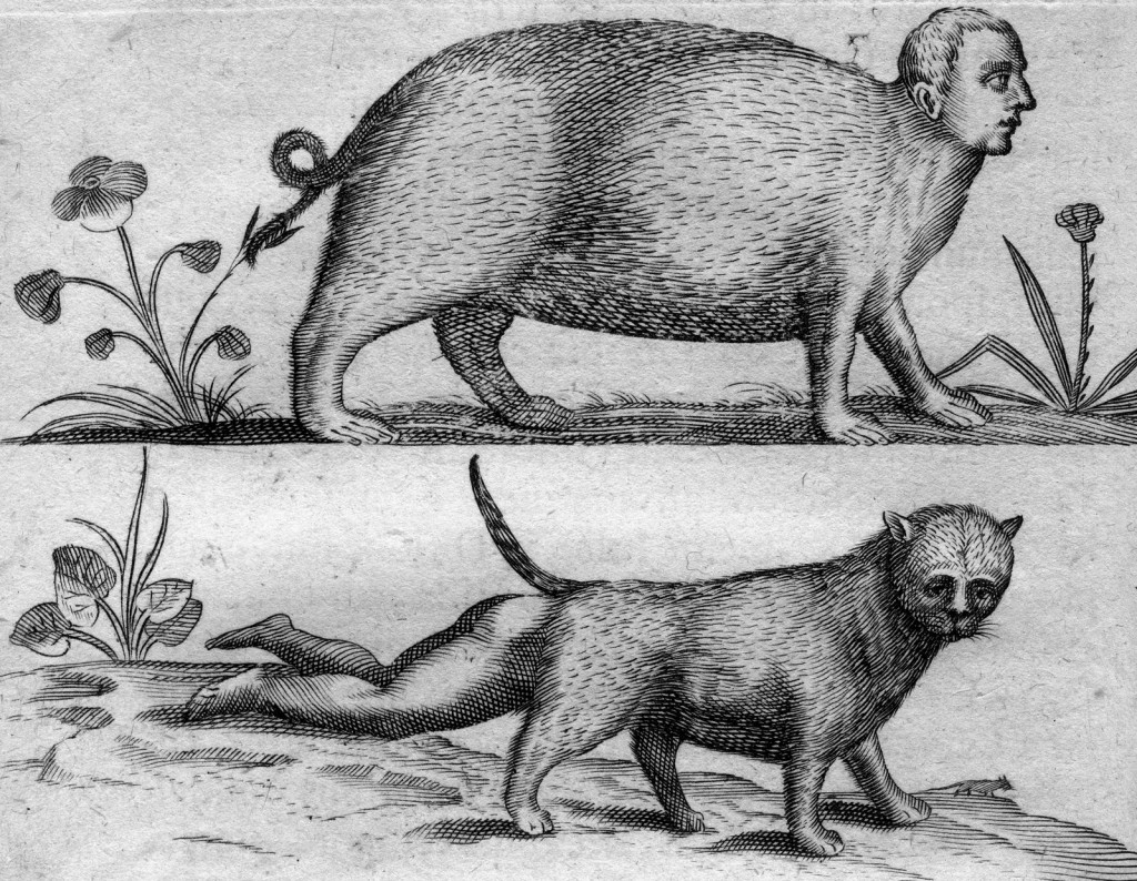 Medieval Monsters - Padua - 1634 - Paulus Frambottus group anatomist