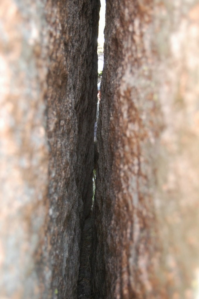 Russian Stonehenge Megalith - tight gap