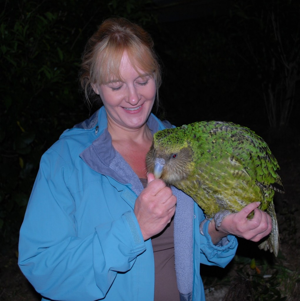 New Zealand Birds - Kakapo with person