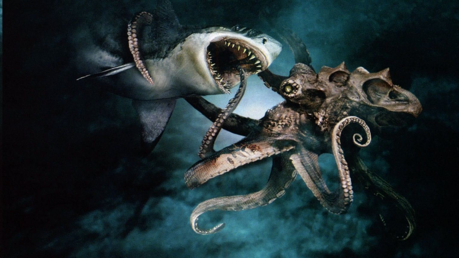 Mega shark vs giant octopus.