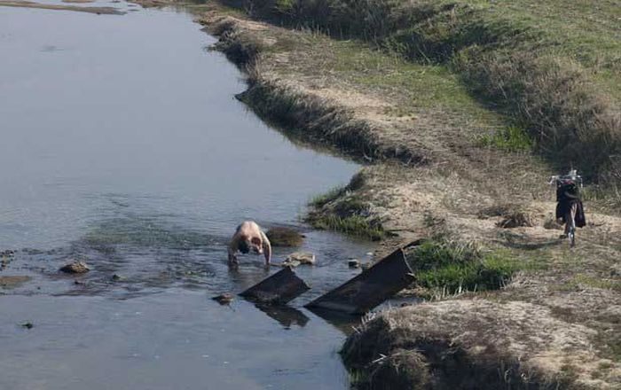 North Korea Rare Deleted Photos - man washing in river