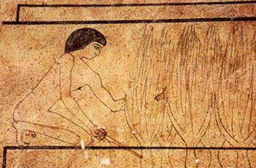 Onion History Science -  The Bird Tomb of Neferherenptah at Saqqara