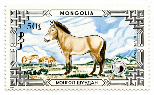 Stamp Mongolia - Donkey