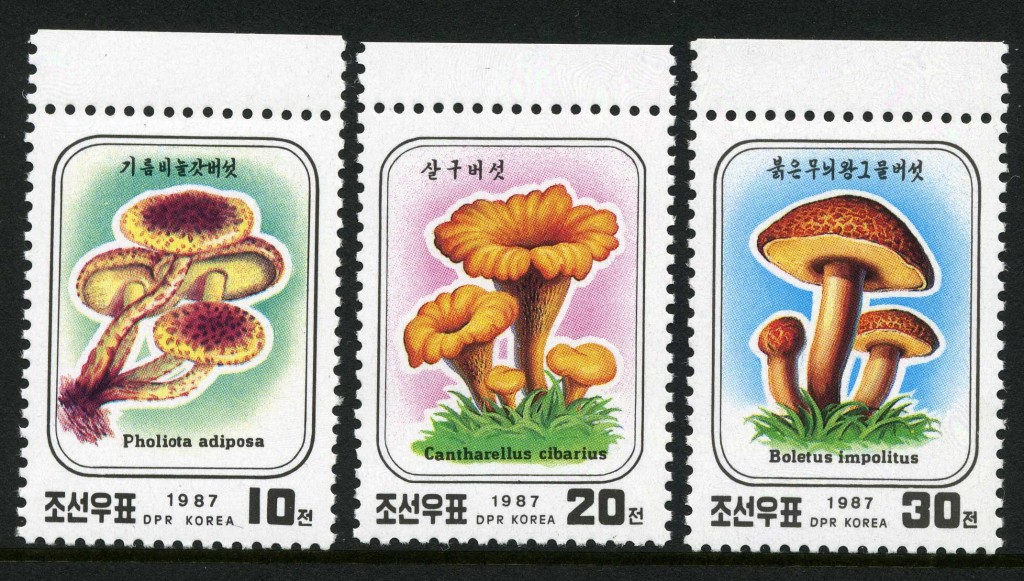 Strange Stamps - Fungus - North Korea