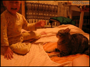 Children Owned By Animals - revenge cat