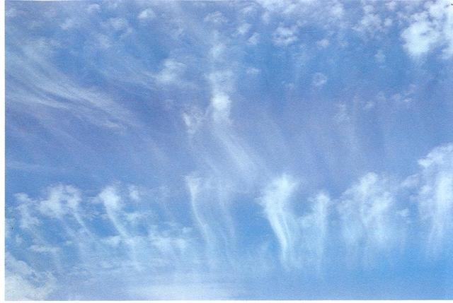 Clouds - How To Predict Weather - Cirrocumulus Virga
