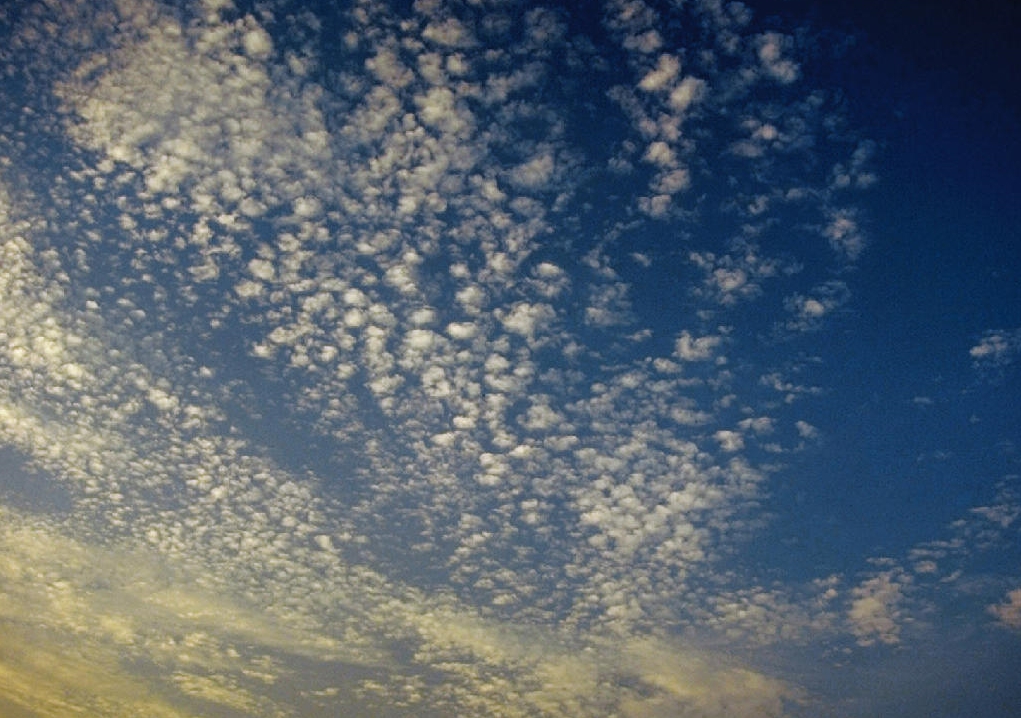 Clouds - How To Predict Weather - cirrocumulus