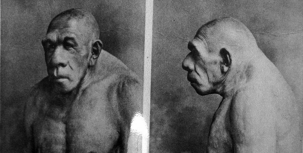 Evolution - neanderthal man