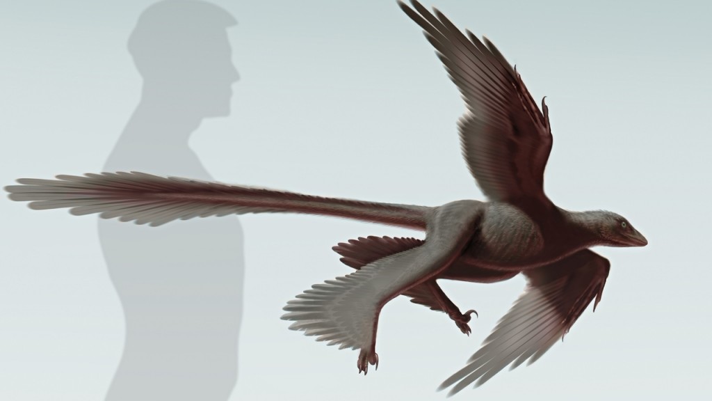 Artist's impression of the four-winged dinosaur Changyuraptor yangi