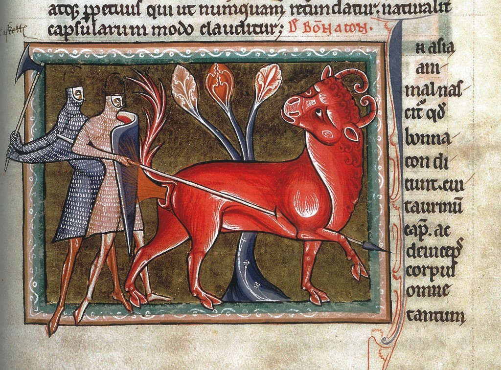 Bonnacon Medieval Monster - history of monsters