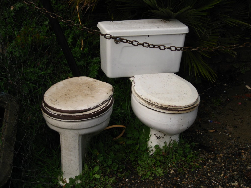 Nitt Witt Ridge - toilet feature