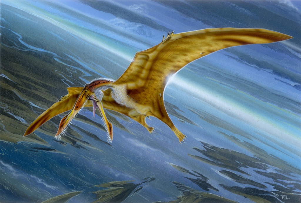 Ropen - Pterosaur