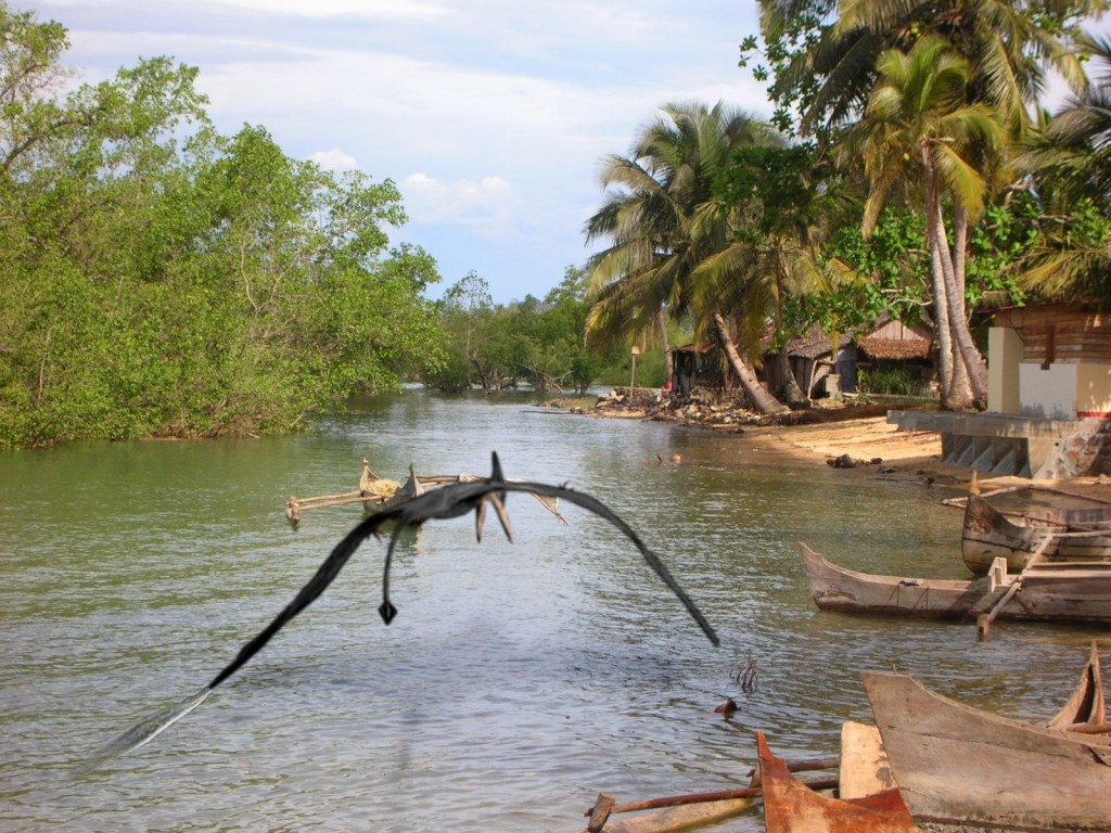 Ropen - Pterosaur Dinosaur Papa New Guinea