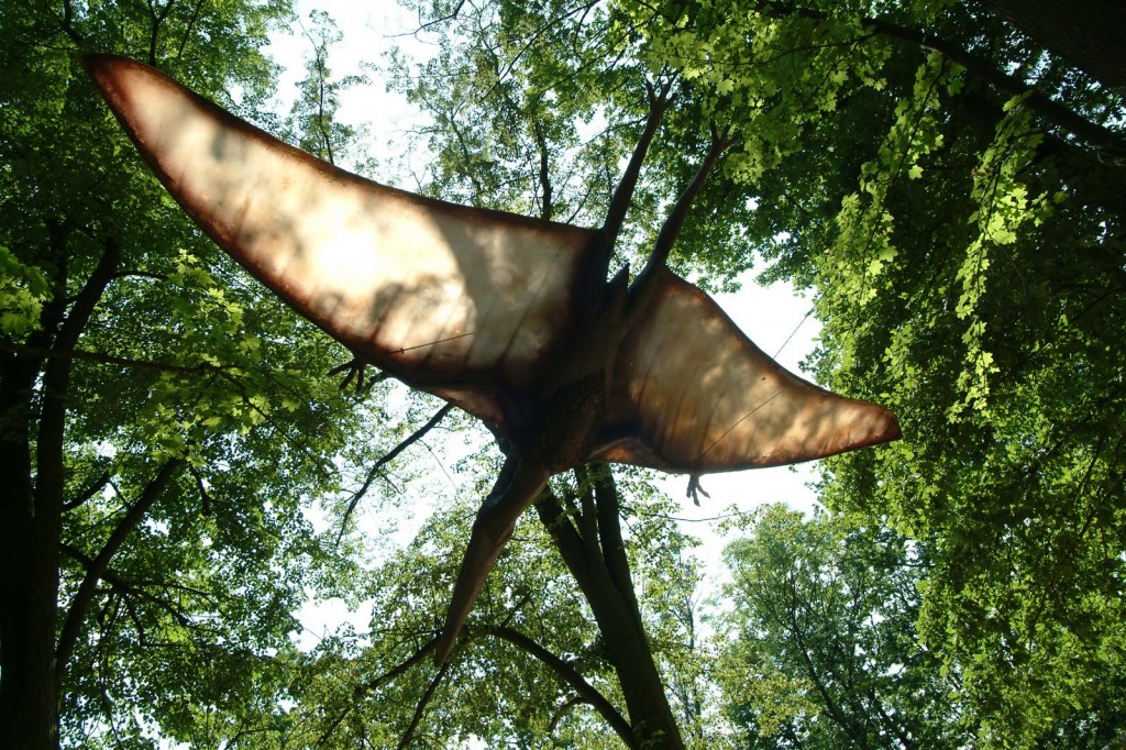 Ropen - Pterosaur Living Dinosaur