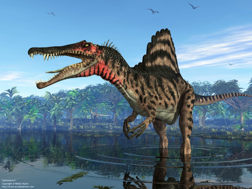 Kem Kem Beds -  Spinosaurus