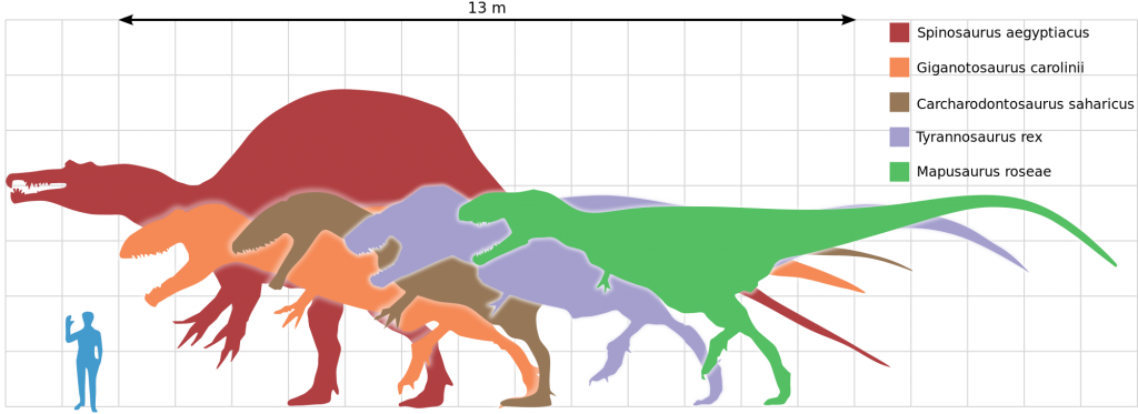 Kem Kem Morocco -  Spinosaurus size next to human