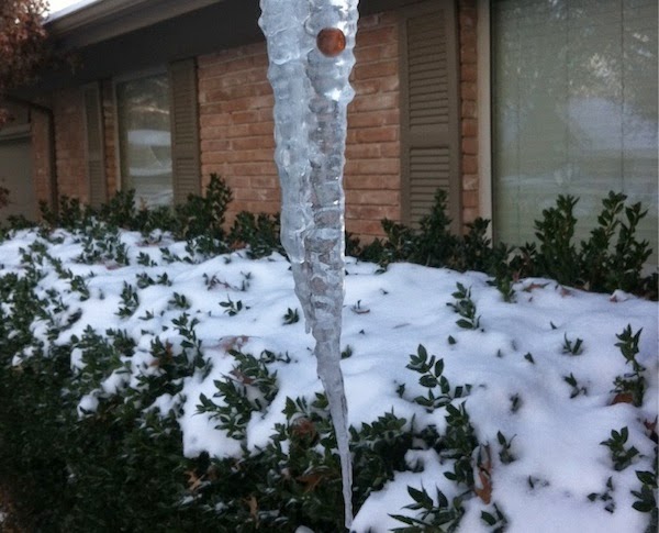 Frozen Things - Penny In Icicle
