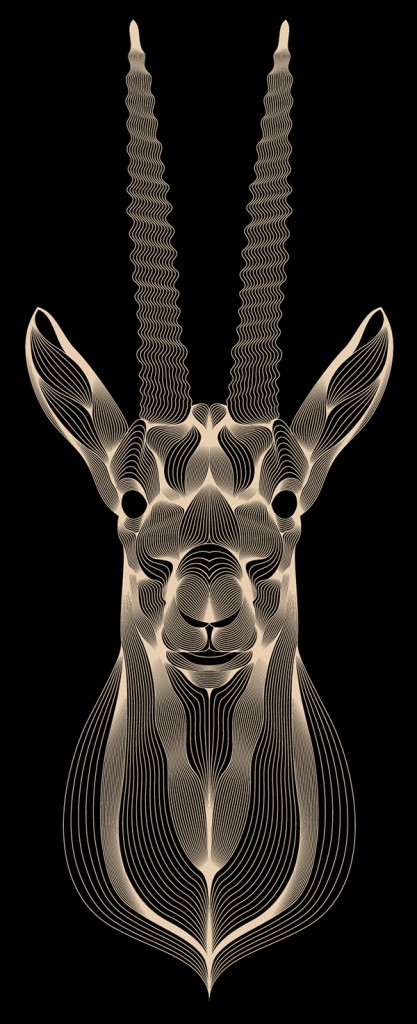 Patrick Seymour - Animal Lines - Gazelle