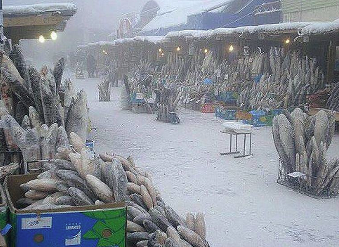 Awesome Russia - Frozen Fish Market