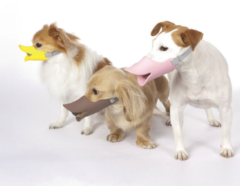 Quack-Muzzle-Japan-Trend.jpg