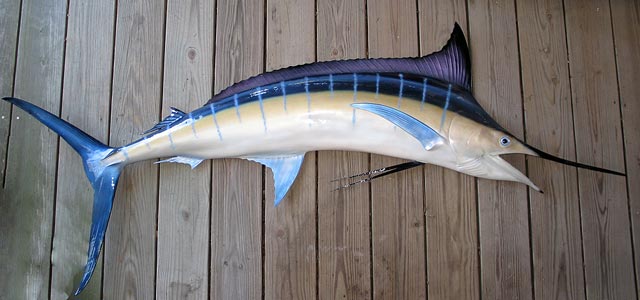 Blue Animals Gangs - Blue Marlin
