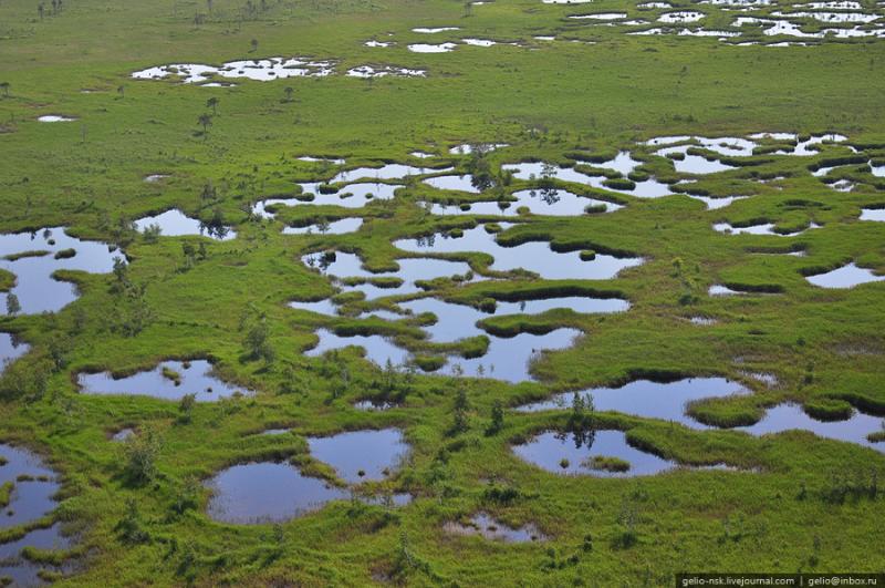 Vasyugan Mire - Biggest Swamp Russia - From The Air 3