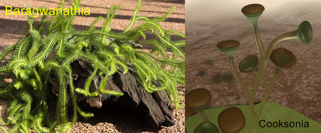Silurian - Baragwanathia and Cooksonia - Early Plants