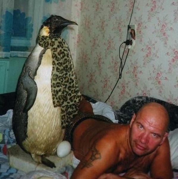 Awesome Photos Russia With Love - Russian Man With Penguin