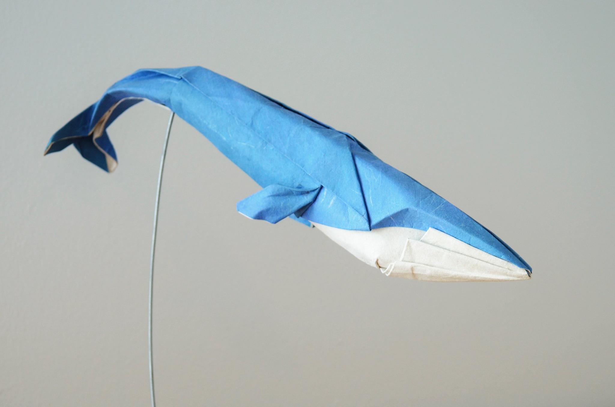 Hoàng Tiến Quyết Wet Fold Origami Blue Whale