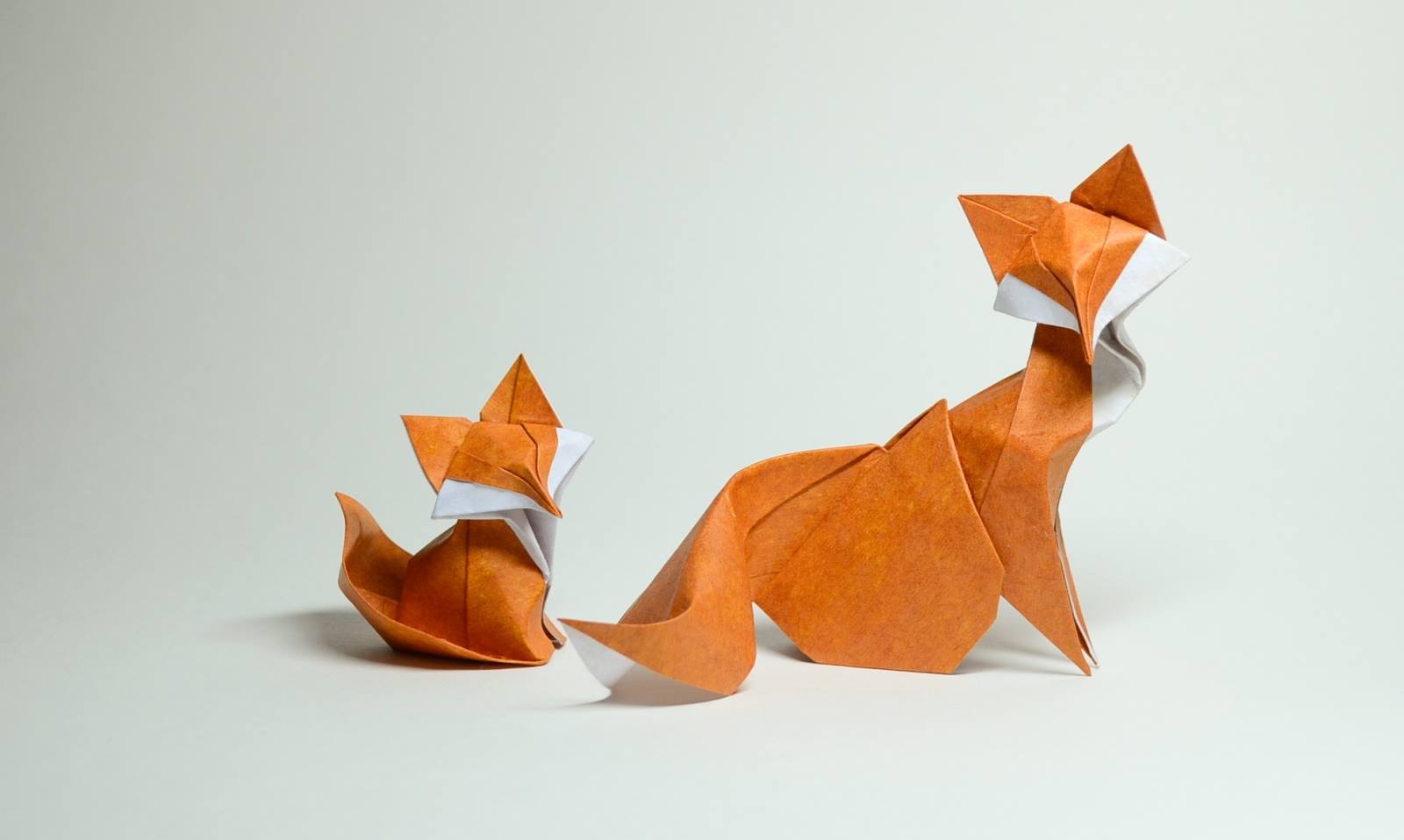 Hoàng Tiến Quyết Wet Fold Origami Fox