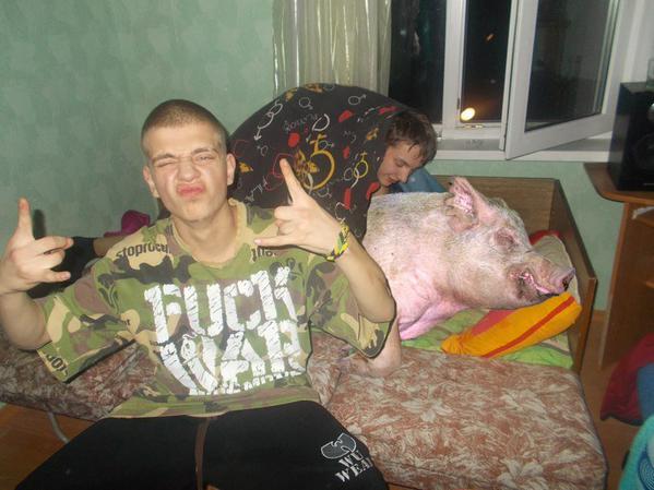 [Image: Phtos-From-Russia-With-Love-Pig-In-Bed.jpg]