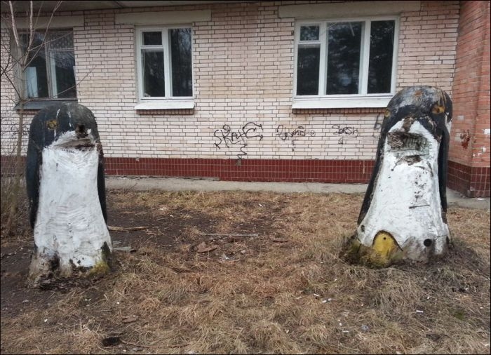 Awesome Photos From Russia With Love - Penguins