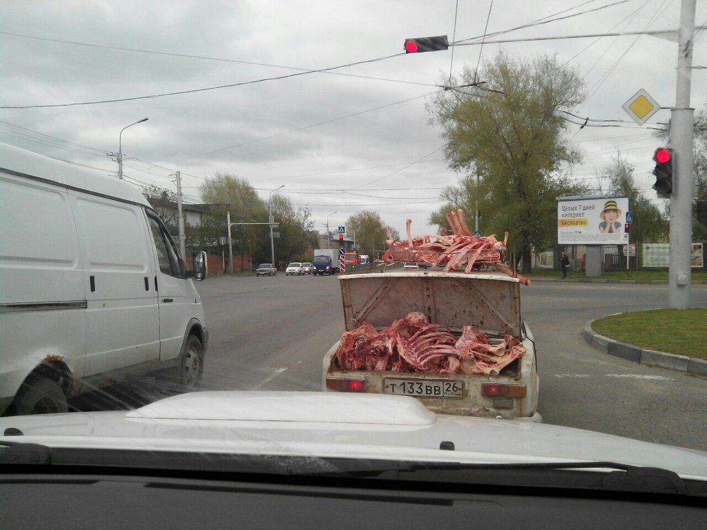 Awesome Photos From Russia - Spare Ribs