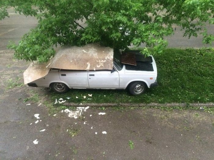 Protecting Car From Hail - Nestled Into Tree