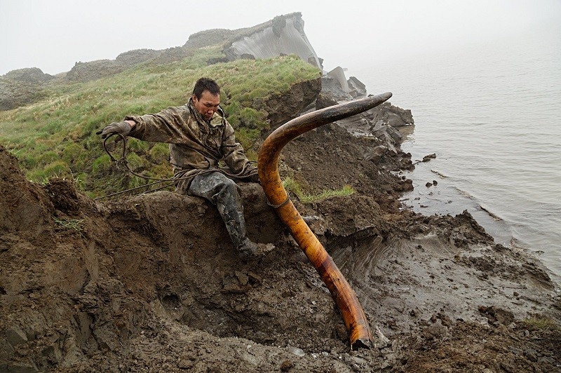 Mammoth Tusk Finder - Digging River Bank