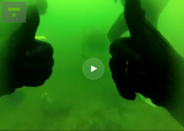 Diver Panicking In Green Water