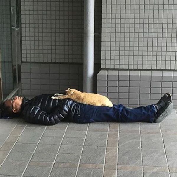 Japanese Sleeping In Public 13
