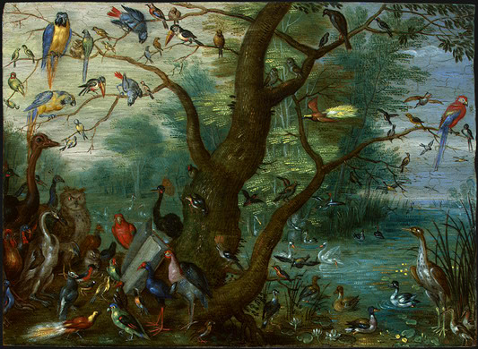 Old Paintings of Birds - Jan van Kessel, Concert of Birds, c. 1660-1670