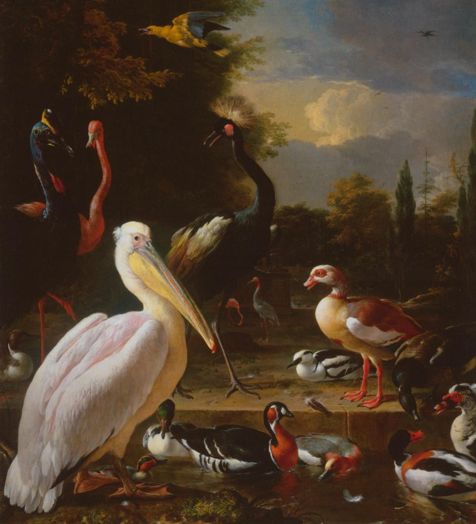 Old Paintings of Birds - Melchior d’Hondecoeter, The Floating Feather, c. 1680