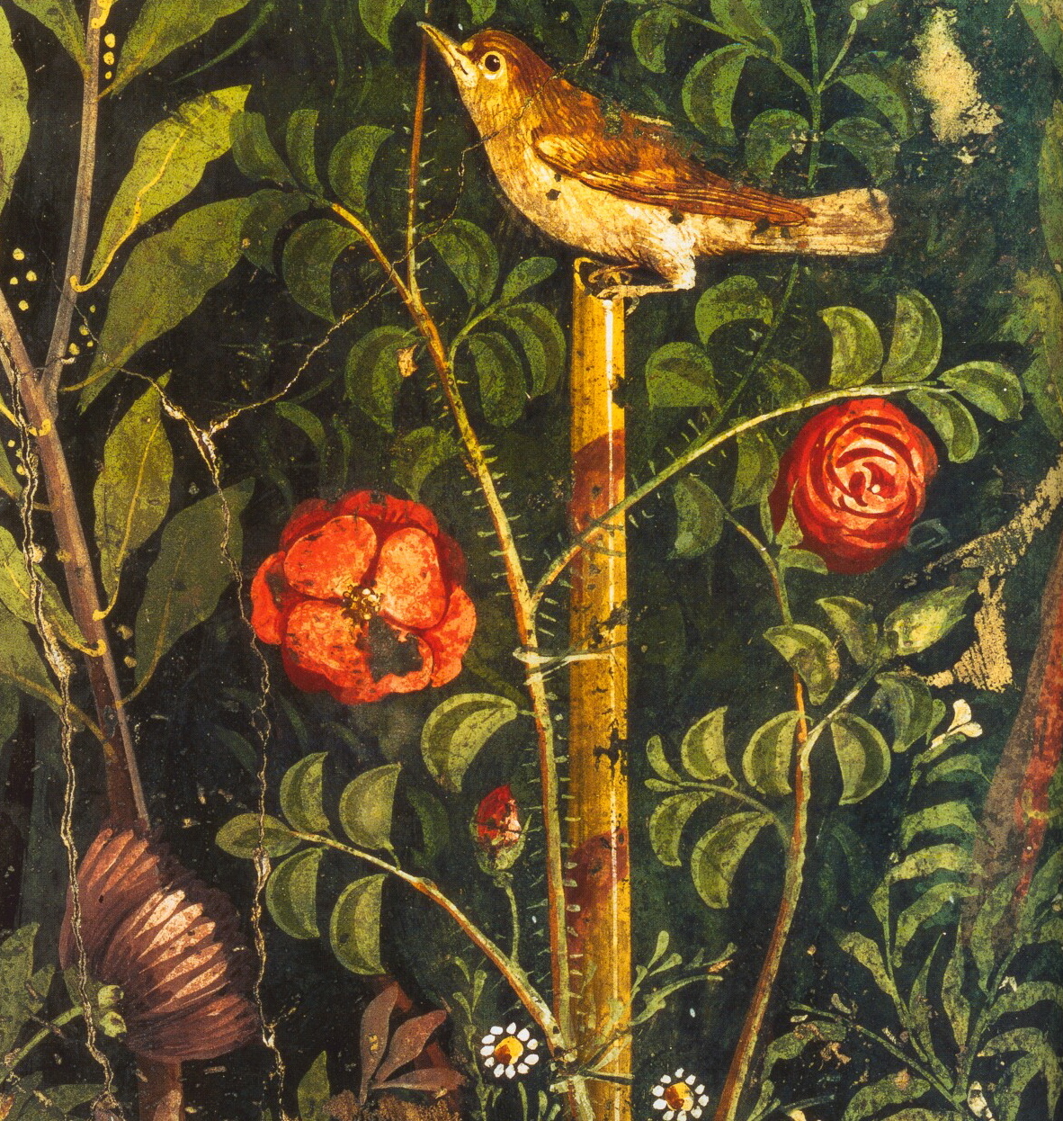 Old Paintings of Birds - Roman garden painting, detail, first century AD